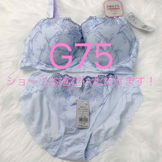 トリンプ(Triumph)のトリンプ 天使のブラ スリムライン 極上ライト564 ブラジャーG75(ブラ&ショーツセット)