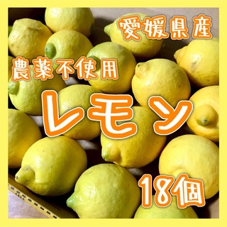 愛媛県産 農薬不使用 小玉 レモン18個 国産レモン 果物 国産(フルーツ)