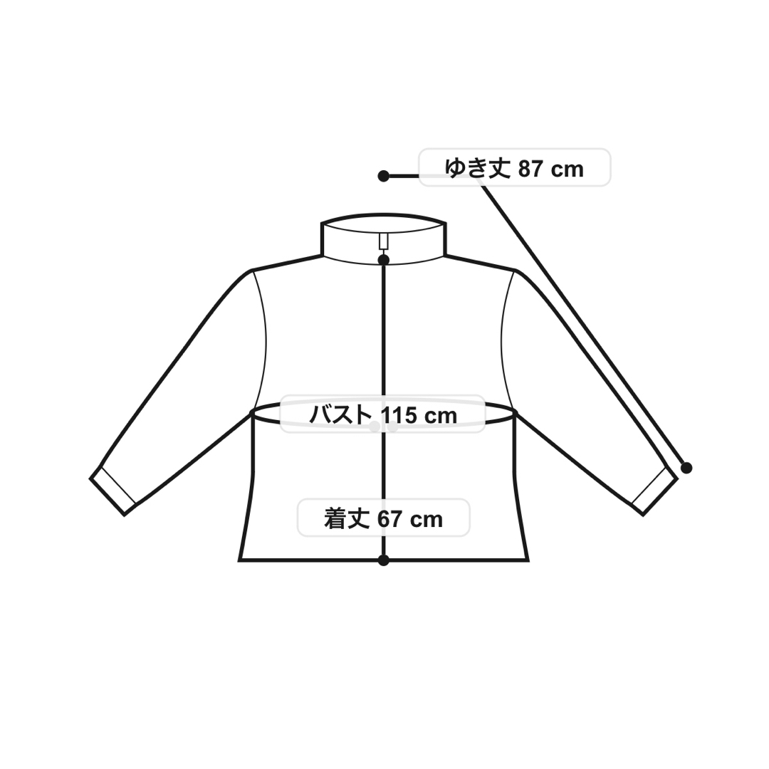 HELLY HANSEN(ヘリーハンセン)のemmi ヘリーハンセン　コラボダウン レディースのジャケット/アウター(ダウンジャケット)の商品写真