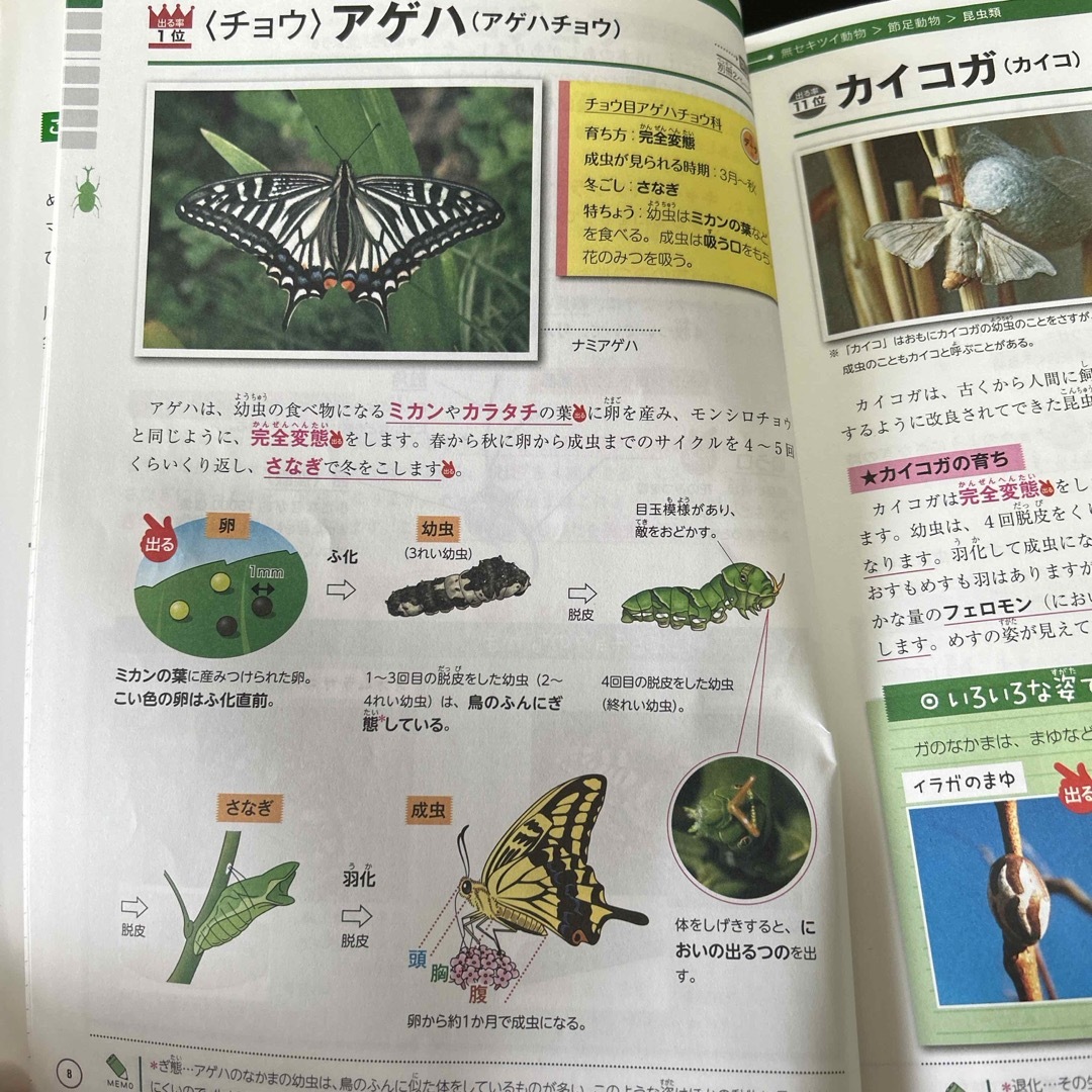 中学入試に出る動物完全攻略 エンタメ/ホビーの本(語学/参考書)の商品写真