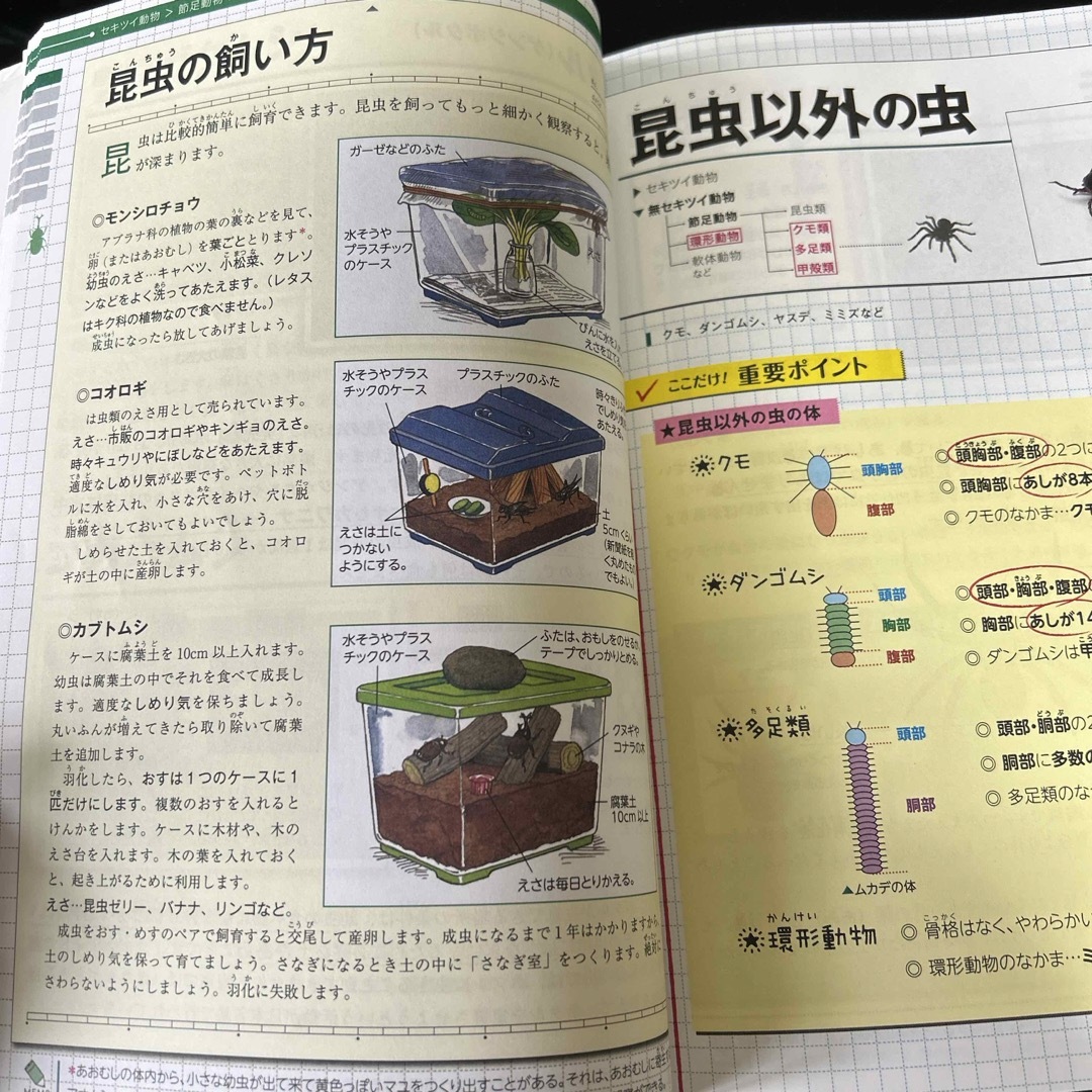 中学入試に出る動物完全攻略 エンタメ/ホビーの本(語学/参考書)の商品写真