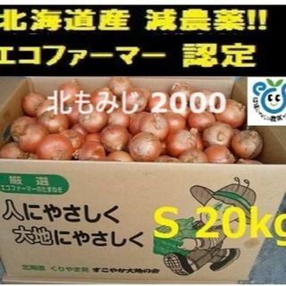 北海道産玉ねぎ 20kgSサイズ北もみじ2000(野菜)