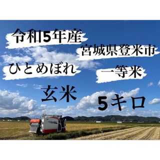 令和5年産　一等米　5キロ　宮城県登米市中田町　ひとめぼれ　玄米(米/穀物)