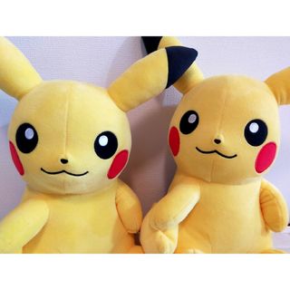 ポケモン(ポケモン)のピカチュウ＆ピカチュウぬいぐるみ(ぬいぐるみ)