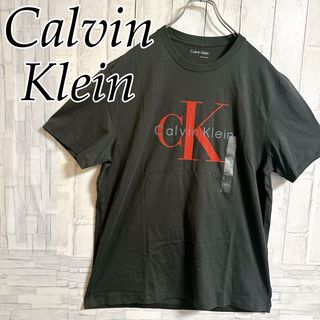 カルバンクライン(Calvin Klein)の【USA輸入】カルバンクライン　男女兼用　Tシャツ CKロゴ　アメリカ　Lサイズ(Tシャツ(半袖/袖なし))