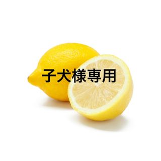 <未使用品> 瓢箪 根付ストラップ(キーホルダー/ストラップ)