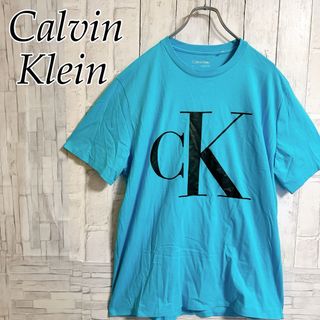 カルバンクライン(Calvin Klein)の【USA輸入】カルバンクライン　男女兼用　Tシャツ CKロゴ　アメリカ　Lサイズ(Tシャツ/カットソー(半袖/袖なし))