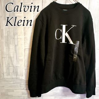 カルバンクライン(Calvin Klein)の【USA輸入】カルバンクライン　スウェット　CK ユニセックス　秋冬　Sサイズ(スウェット)