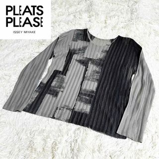 プリーツプリーズイッセイミヤケ(PLEATS PLEASE ISSEY MIYAKE)のプリーツプリーズ　イッセイミヤケ　カットソー　長袖　総柄(カットソー(長袖/七分))