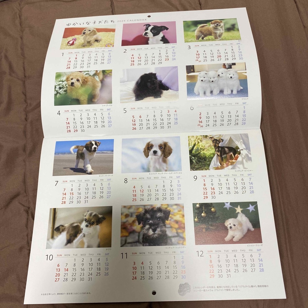 2024年　カレンダー　ゆかいな子犬たち インテリア/住まい/日用品の文房具(カレンダー/スケジュール)の商品写真