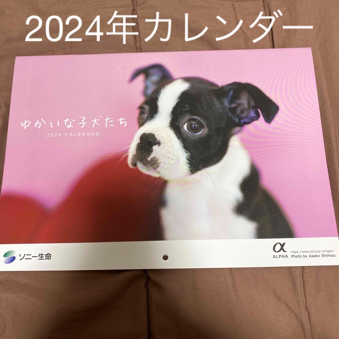 2024年　カレンダー　ゆかいな子犬たち インテリア/住まい/日用品の文房具(カレンダー/スケジュール)の商品写真