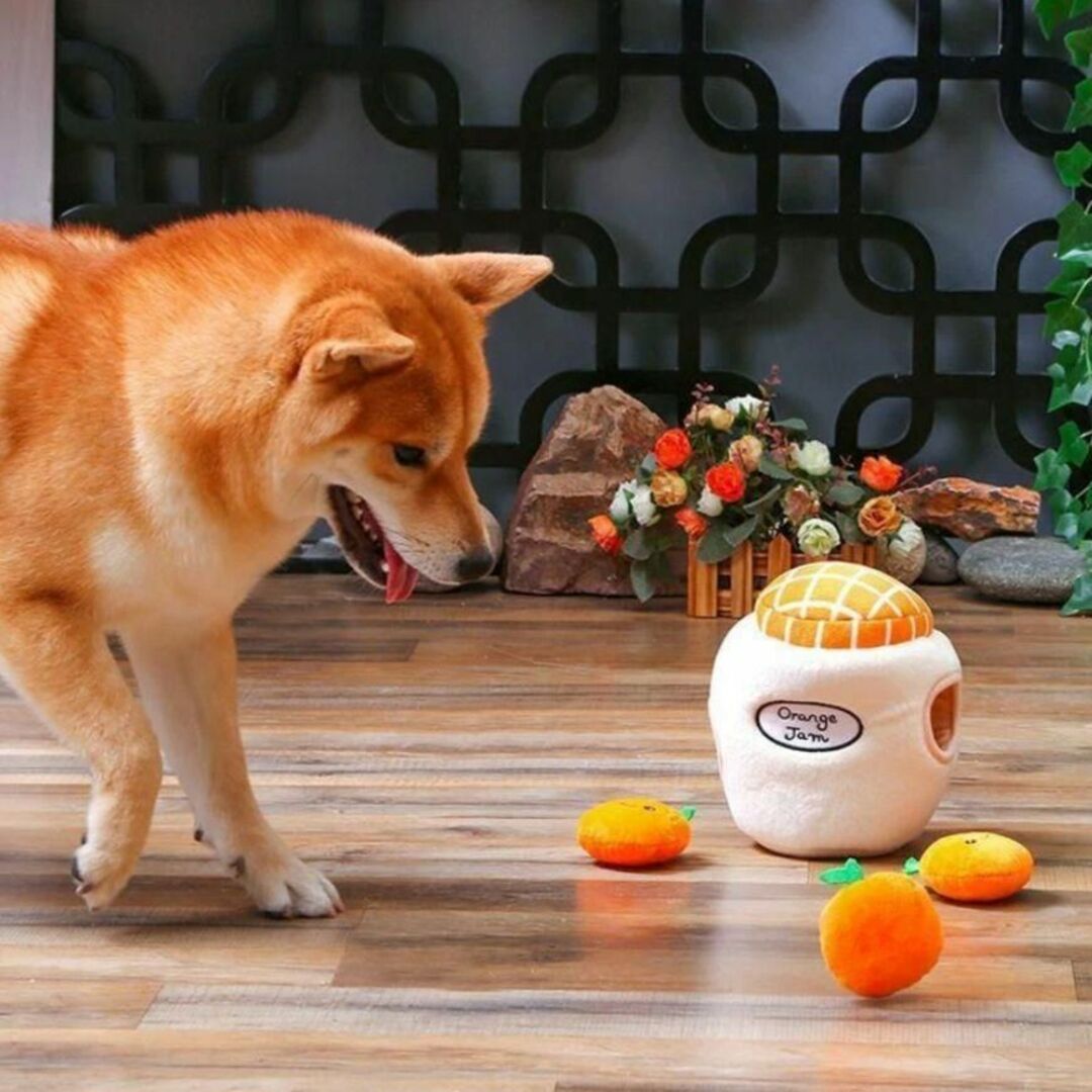 【新品】犬用 韓国 HUGSMART ノーズワーク 知育おもちゃ 犬 おもちゃ その他のペット用品(犬)の商品写真