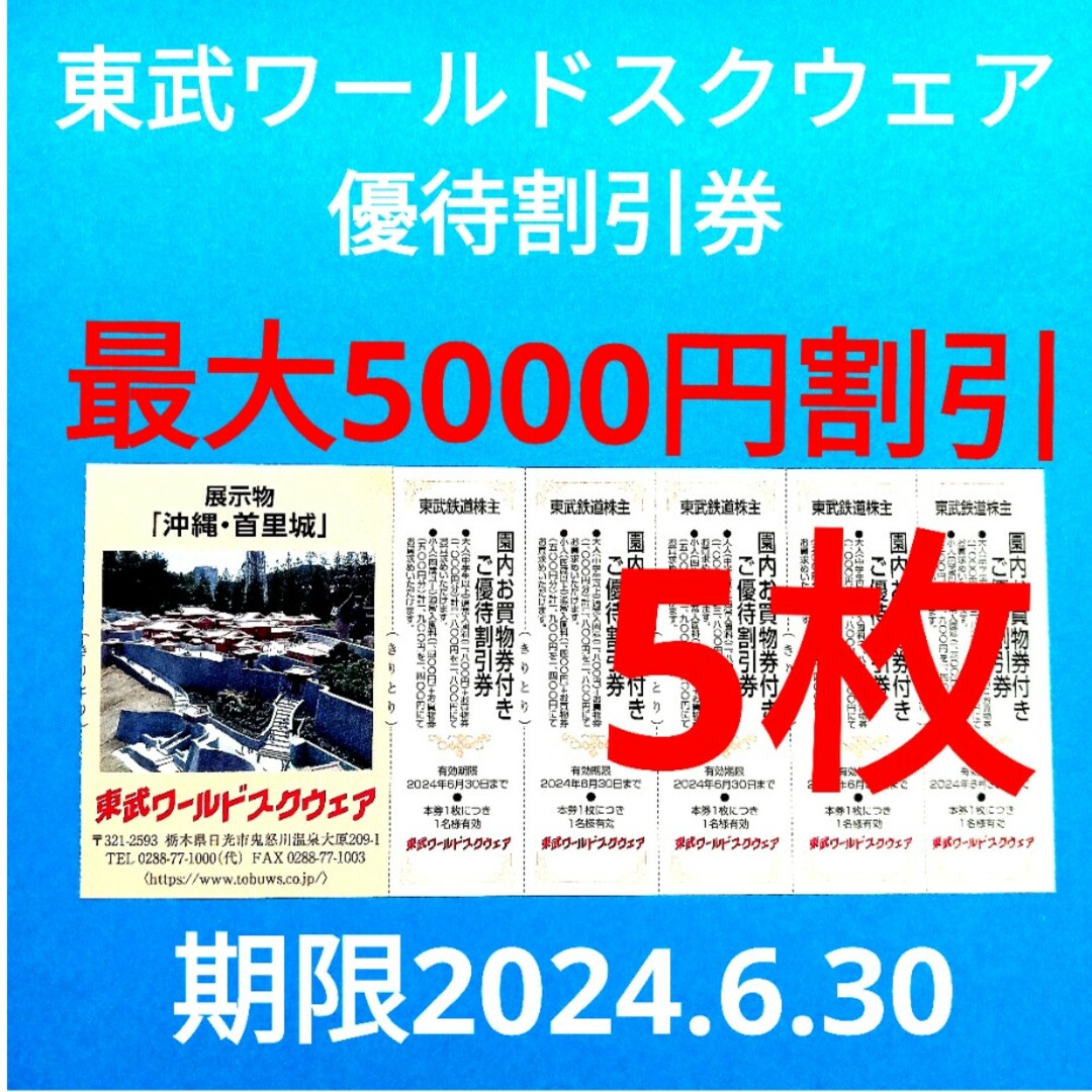 【5枚】東武ワールドスクウェア割引券5枚 チケットの施設利用券(遊園地/テーマパーク)の商品写真