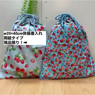 水色いちご柄【大きめ体操着袋】w35×40cm 女の子 小学校 幼稚園 保育園(体操着入れ)