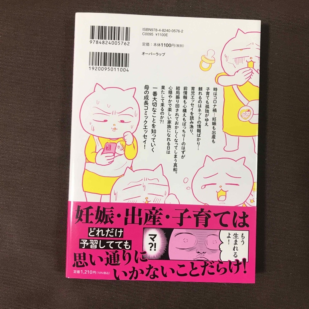 令和妊婦、孤高のさけび！頼りになるのはスマホだけ？！ エンタメ/ホビーの本(文学/小説)の商品写真