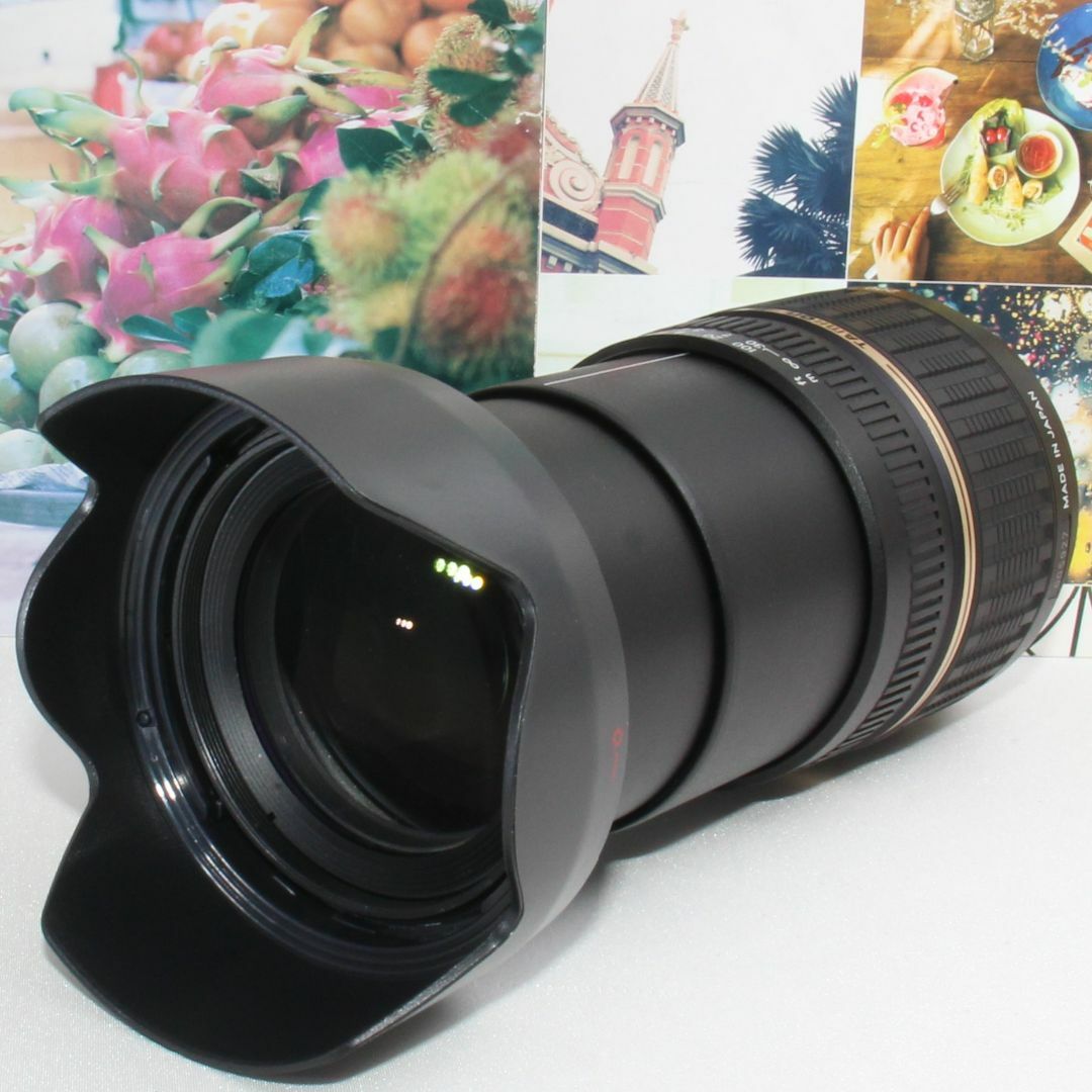 Nikon D80 向かわ TAMRON 18-200mmセット SDカードつき