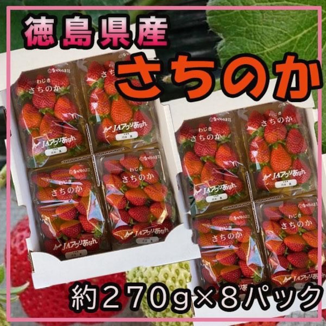徳島県産 さちのかいちご 1パック約270g×8パックフルーツ - フルーツ