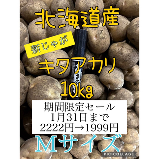 北海道産じゃがいもキタアカリ10kg(野菜)