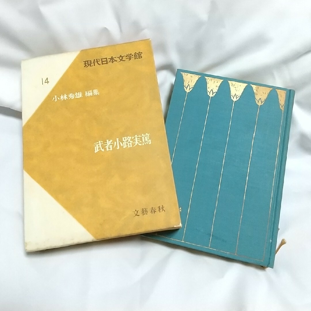 現代日本文学館 文藝春秋 日本文学全集 古書 古本 骨董品 昭和41年 エンタメ/ホビーの本(文学/小説)の商品写真