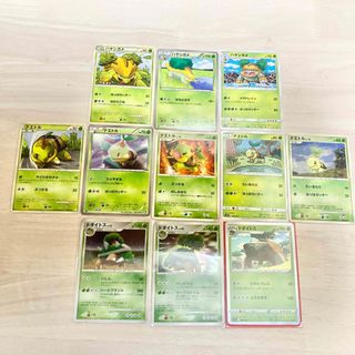 ポケモン(ポケモン)のポケモンカード ナエトル、ハヤシガメ、ドダイトス大量まとめ売り キラ有(シングルカード)