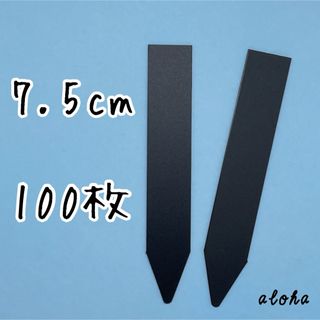 ブラック　100枚 多肉植物 アガベ サボテンに◎ 園芸用 ラベル ネームラベル(その他)