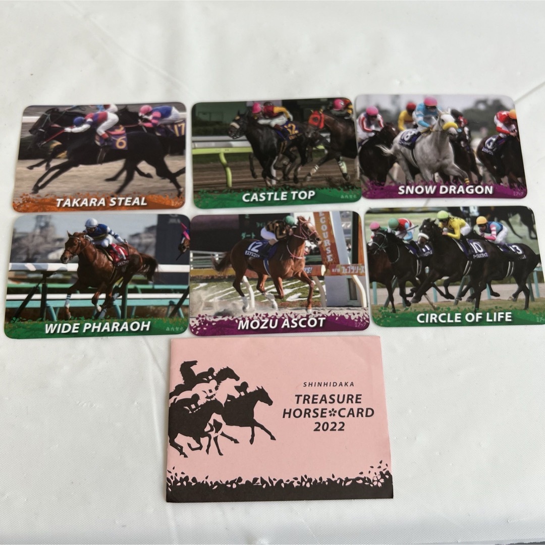 非売品 15枚セット 競走馬 カード 新ひだか町 馬カード　 エンタメ/ホビーのトレーディングカード(シングルカード)の商品写真