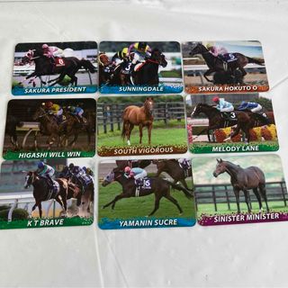 非売品 15枚セット 競走馬 カード 新ひだか町 馬カード　(シングルカード)