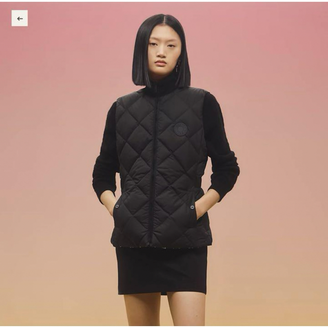 HERMES - 【新品未使用】 エルメス 秋冬ノースリーブダウン HERMES - 【新品未使用】 エルメス 秋冬ノースリーブダウン
