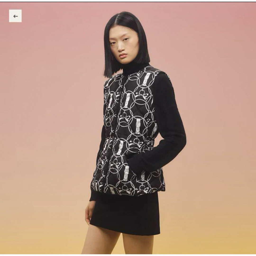 HERMES - 【新品未使用】 エルメス 秋冬ノースリーブダウン HERMES - 【新品未使用】 エルメス 秋冬ノースリーブダウン