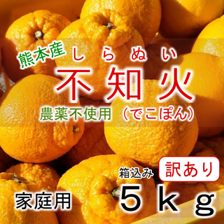 熊本産 不知火（デコポン） 箱込み5kg 家庭用（訳あり）農薬不使用(フルーツ)