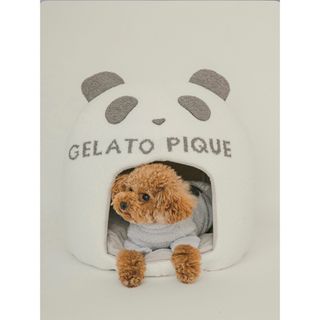 ジェラートピケ(gelato pique)のジェラートピケ ベビモコパンダハウス　gelato pique(犬)