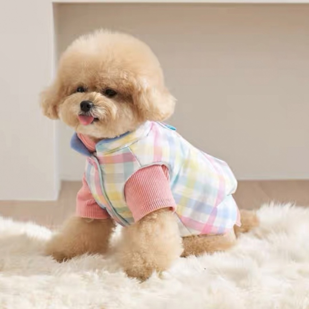 【新品】可愛い♡くまさんなりきりベスト　犬服　ドッグウェア　アウター　ダウン その他のペット用品(犬)の商品写真