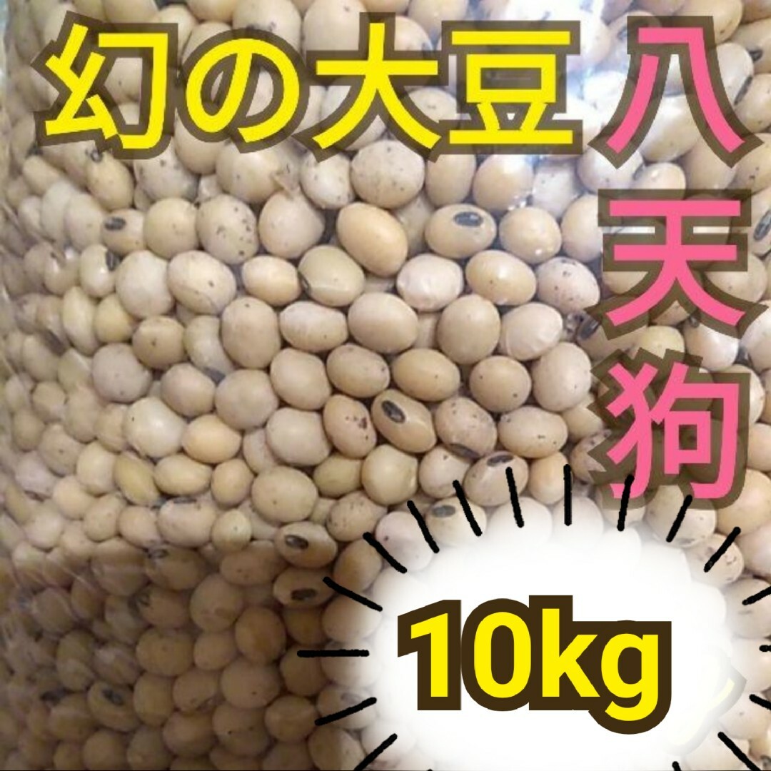 自然栽培 幻の大豆 『八天狗』10kg 熊本県産 食品/飲料/酒の食品(野菜)の商品写真