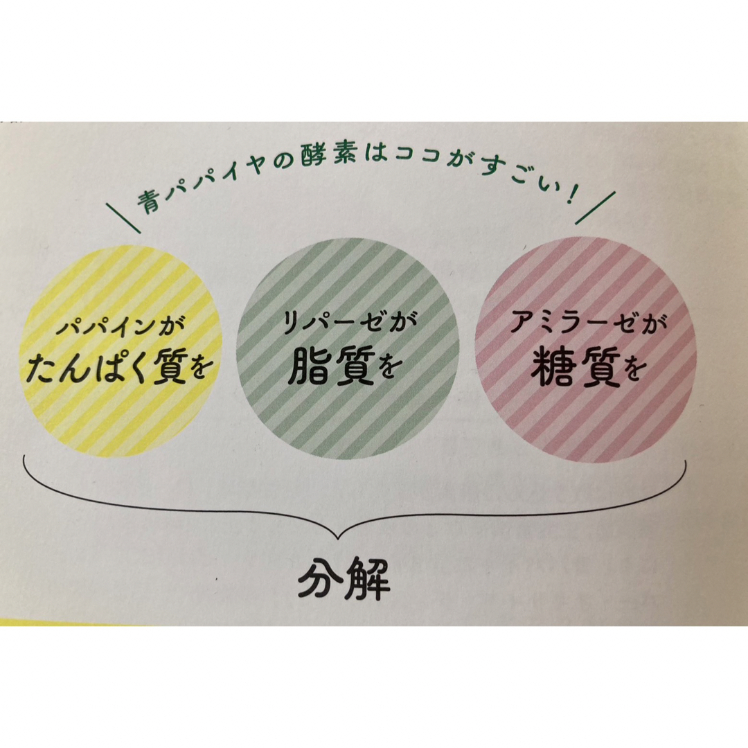 新鮮青パパイヤ60サイズにいっぱい約2kg♪ 食品/飲料/酒の食品(野菜)の商品写真