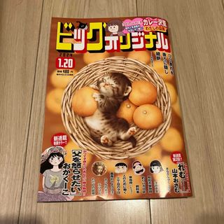 ショウガクカン(小学館)のビッグコミック オリジナル 2024年 1/20号 [雑誌](アート/エンタメ/ホビー)