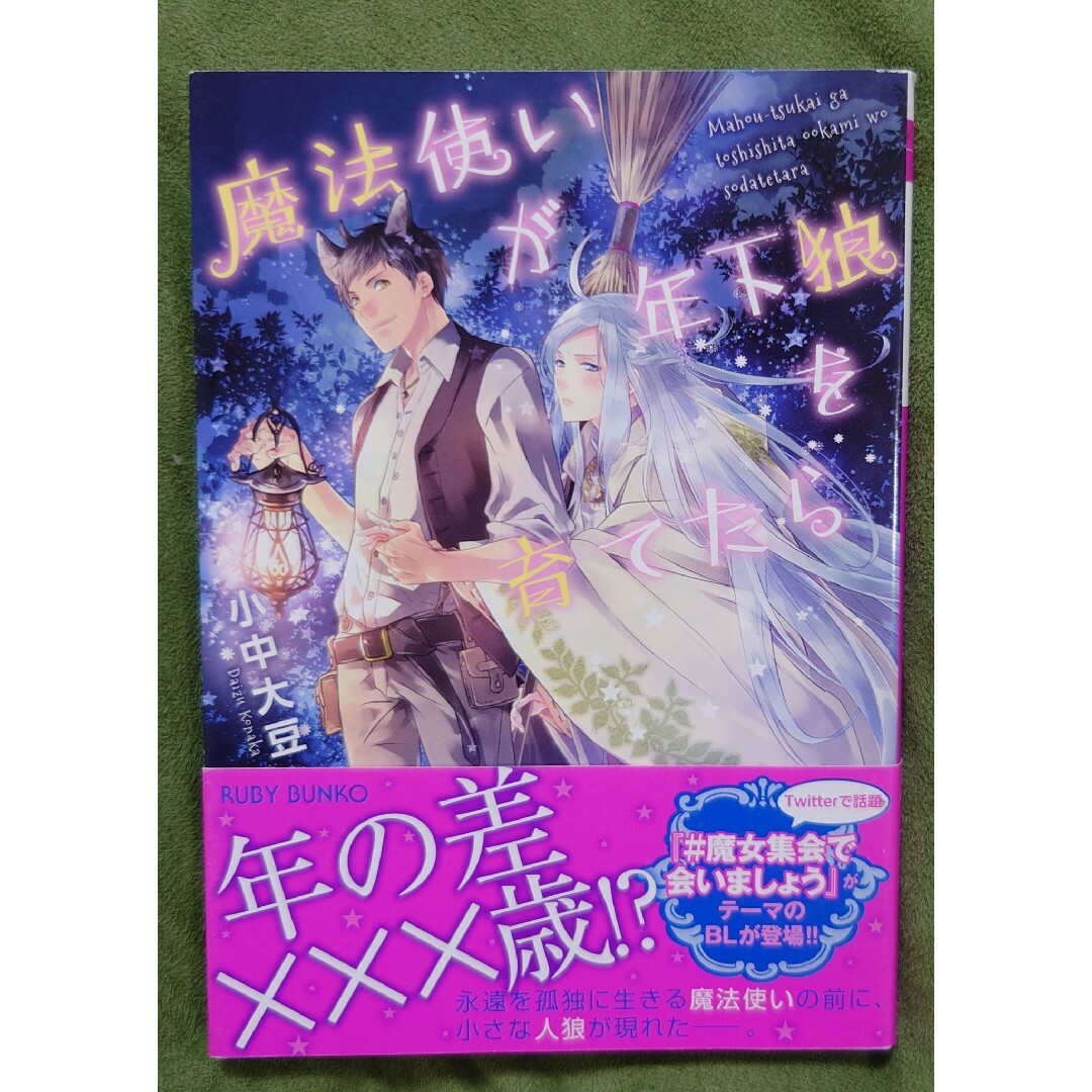 BL 魔法使いが年下狼を育てたら エンタメ/ホビーの本(文学/小説)の商品写真