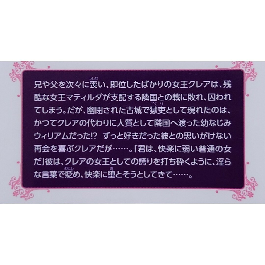 TL 番人の花嫁 エンタメ/ホビーの本(文学/小説)の商品写真