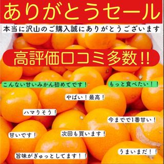 アリダミカン(有田みかん)の減農薬 有田みかん 2キロ　小玉みかん5cmほどの3sサイズ(フルーツ)