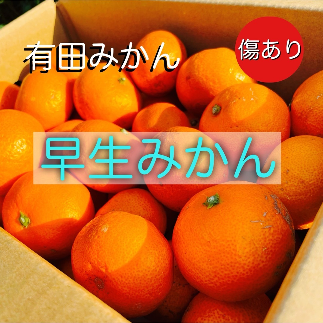 有田みかん(アリダミカン)の有田産　2キロ　早生みかん　訳あり　サイズ混合 食品/飲料/酒の食品(フルーツ)の商品写真