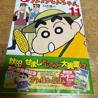 クレヨンシンチャン(クレヨンしんちゃん)のカンタム様専用 新クレヨンしんちゃん(青年漫画)