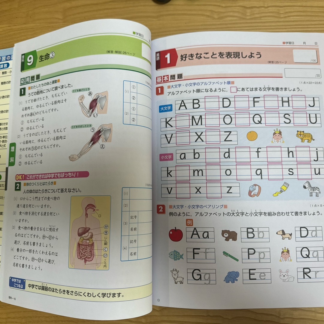 中1へのパスポート　　教育同人社 エンタメ/ホビーの本(語学/参考書)の商品写真