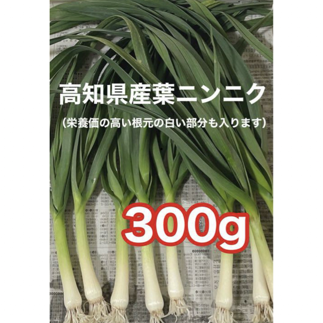 高知県産葉にんにく　葉ニンニク　産地直送300gjdm 食品/飲料/酒の食品(野菜)の商品写真