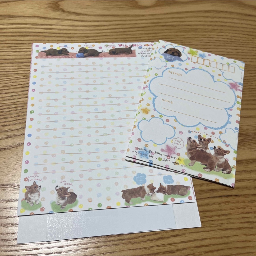 平成レトロ　わんちゃん　実写　レターセット ハンドメイドの文具/ステーショナリー(カード/レター/ラッピング)の商品写真