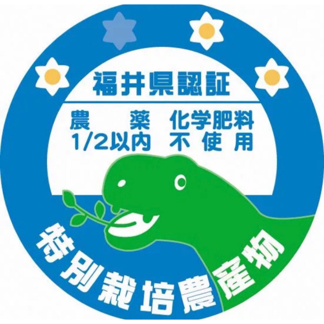 令和５年産 越前市産にこまる精米10キロ 特別栽培米 食品/飲料/酒の食品(米/穀物)の商品写真