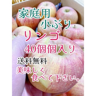 1月22日発送。会津の葉取らず家庭用小ぶりリンゴ(フルーツ)