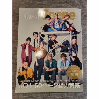 カドカワショテン(角川書店)の別冊カドカワＳｃｅｎｅ ０３/ＫＡＤＯＫＡＷＡ(アート/エンタメ)