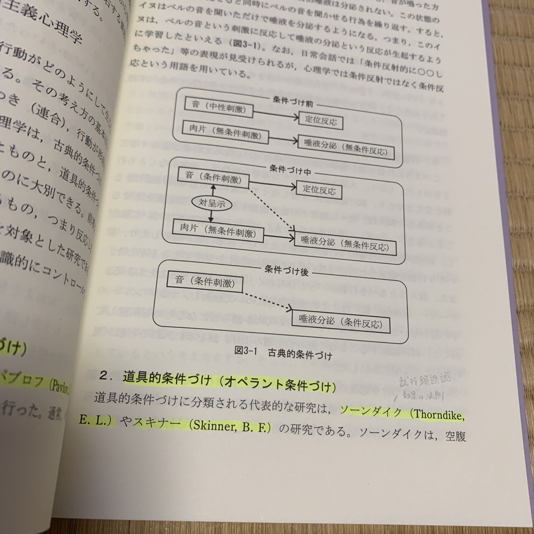 発達と学習の心理学 エンタメ/ホビーの本(人文/社会)の商品写真