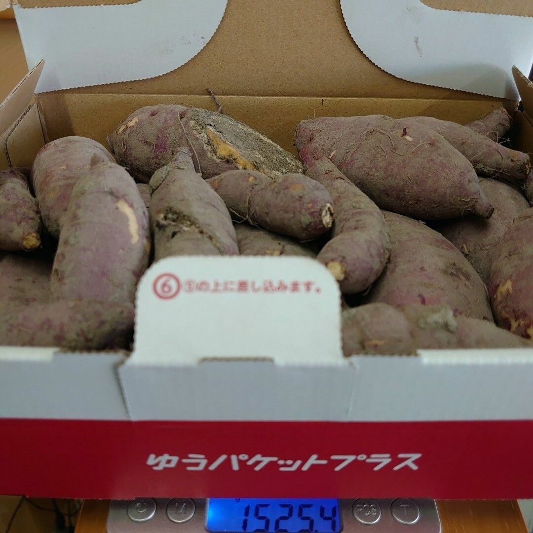 静岡県産＊訳あり*不揃いさつまいも＊無農薬＊農家直送＊産直 食品/飲料/酒の食品(野菜)の商品写真