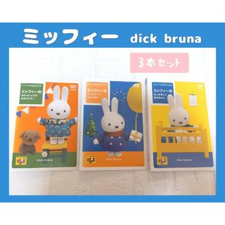 ミッフィー(miffy)のミッフィー　DVD   レンタル(アニメ)