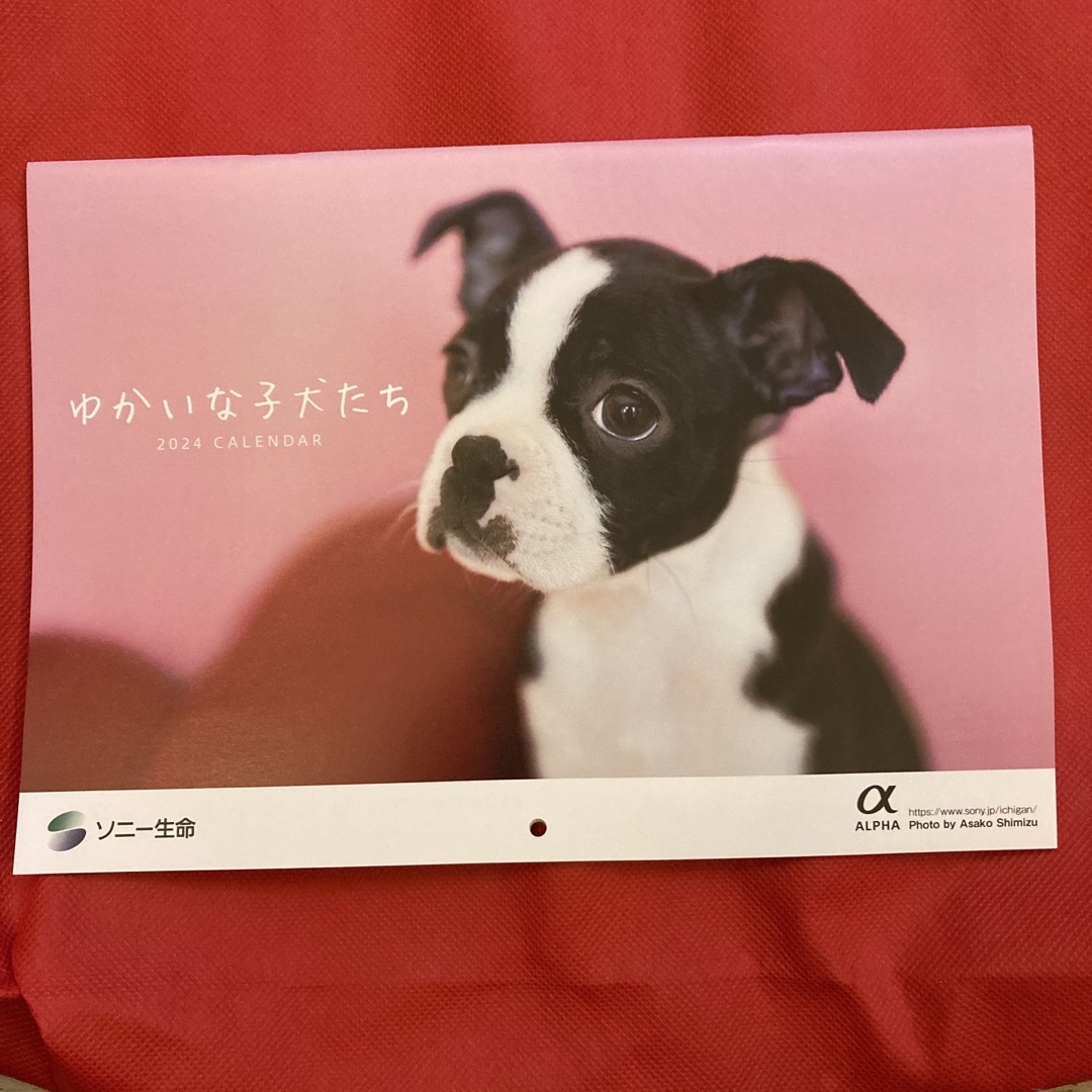 ソニー生命　子犬カレンダー2024  インテリア/住まい/日用品の文房具(カレンダー/スケジュール)の商品写真